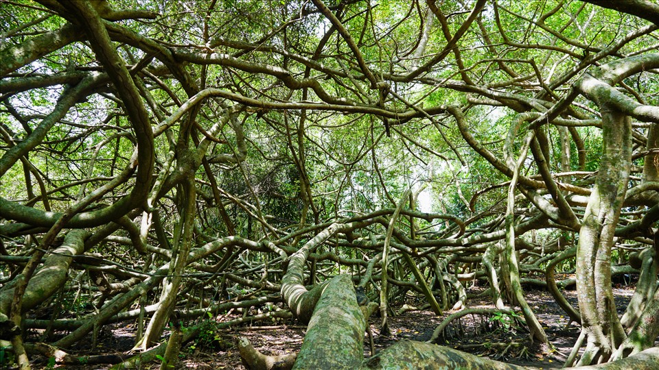 BEN TRE - CAN THO 2N1D