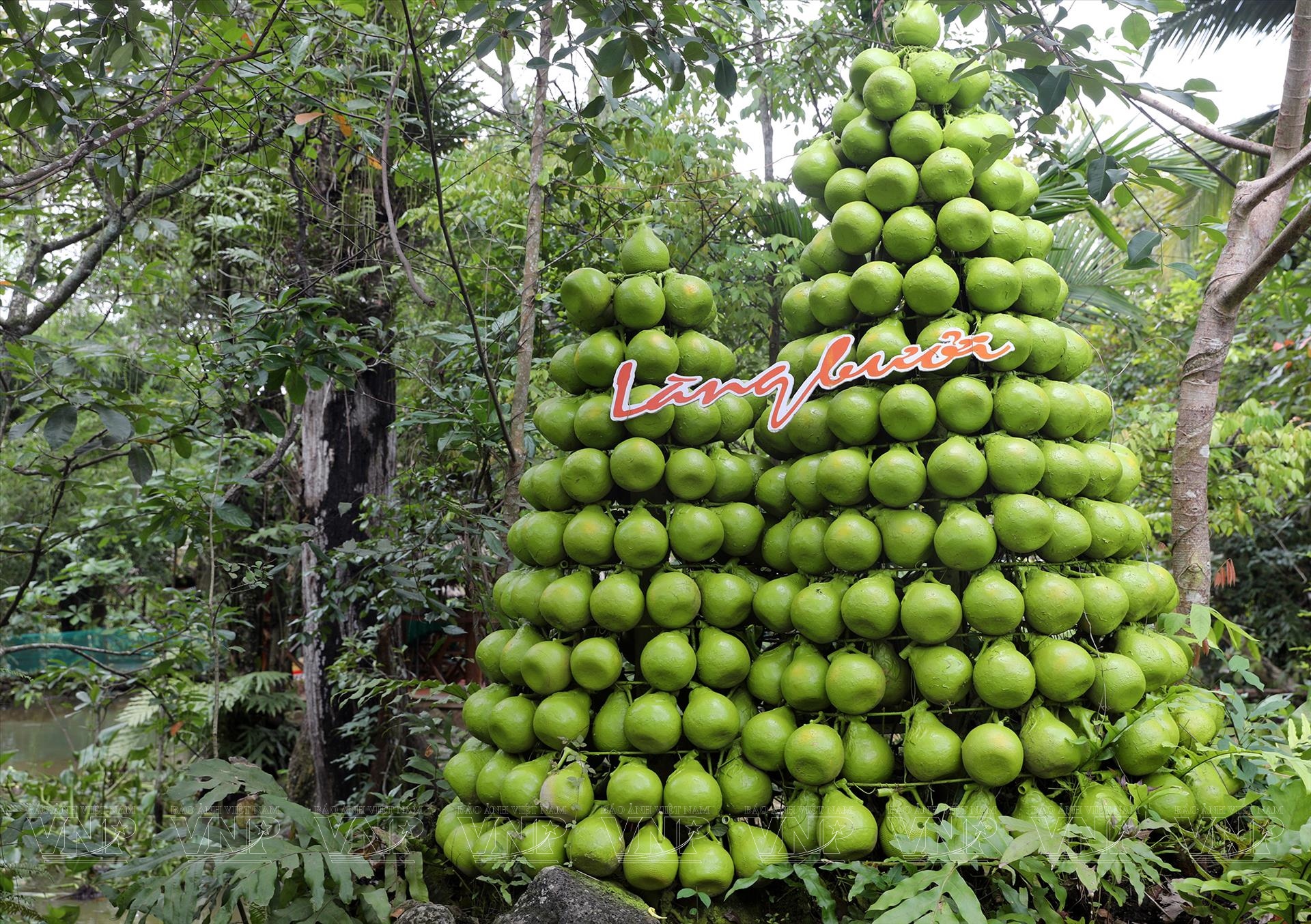 DONG NAI