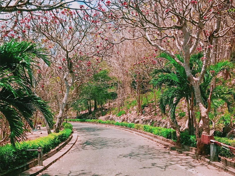 VUNG TAU